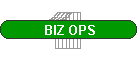 BIZ OPS
